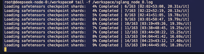 Deepseek SG Lang inference starting